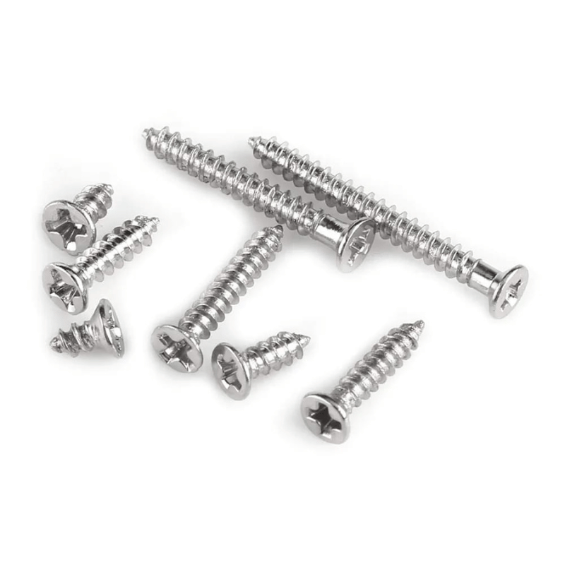 Ss screws
